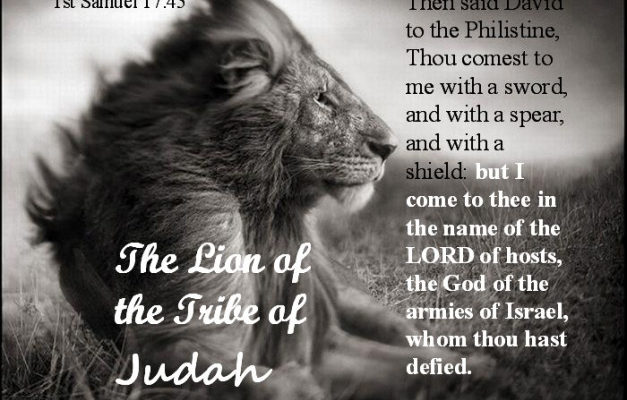 To LIVE from the Lion’s Den…