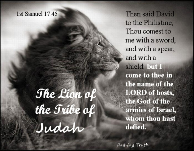 To LIVE from the Lion’s Den…